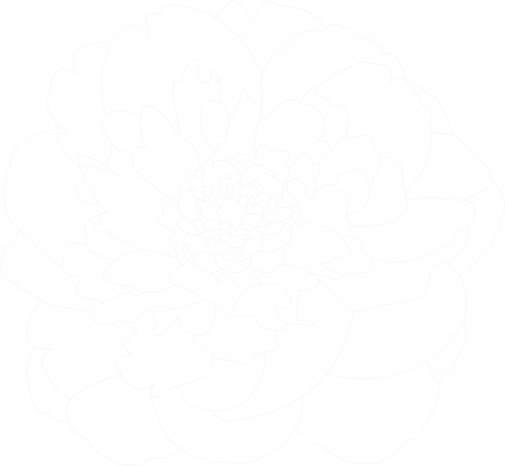 DENW flower white empty