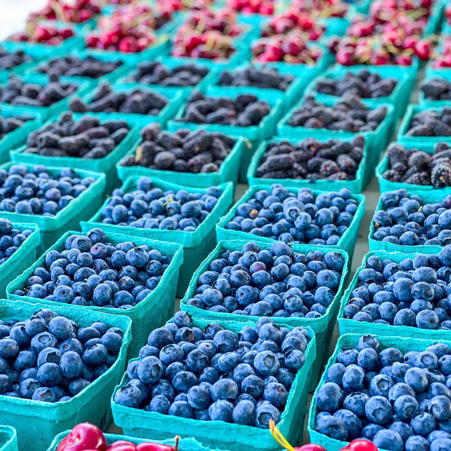 206702977 4187606144630286 2193062913896774072 n