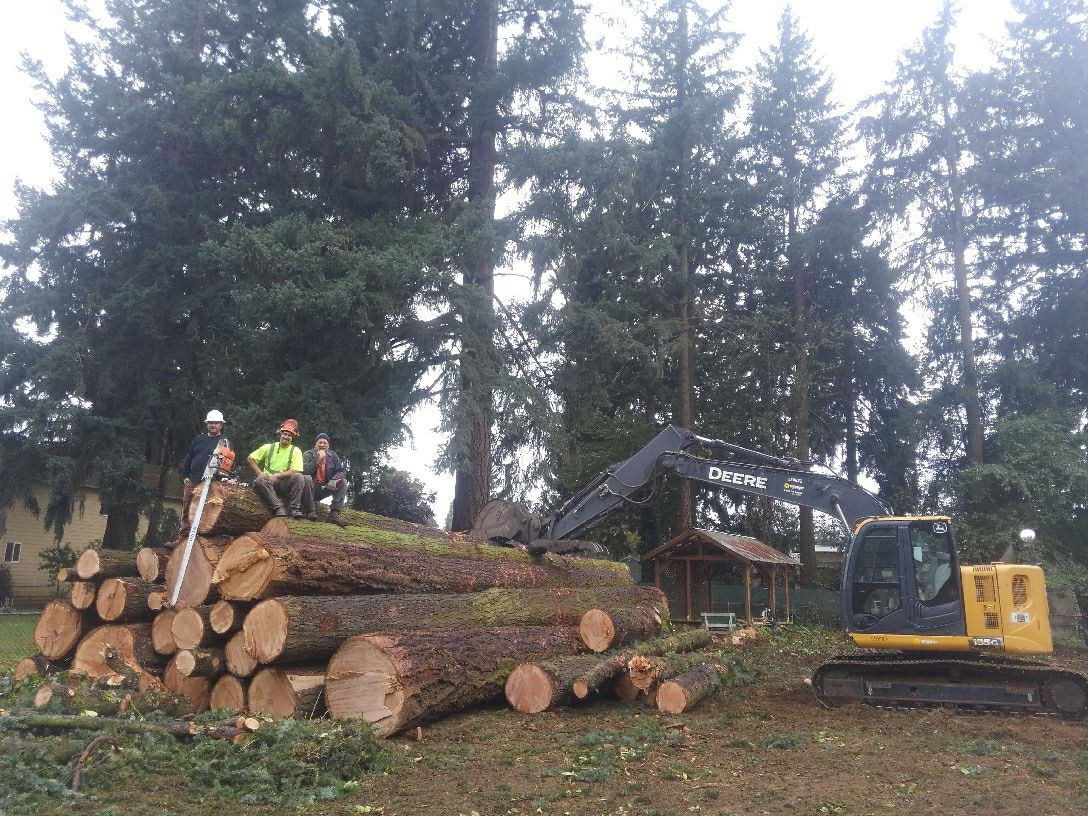 23509173 546655839011796 6862804637534308479 o