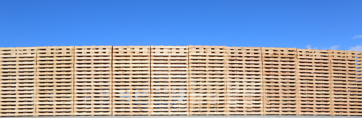 CLC PPI Web Photos 44 small