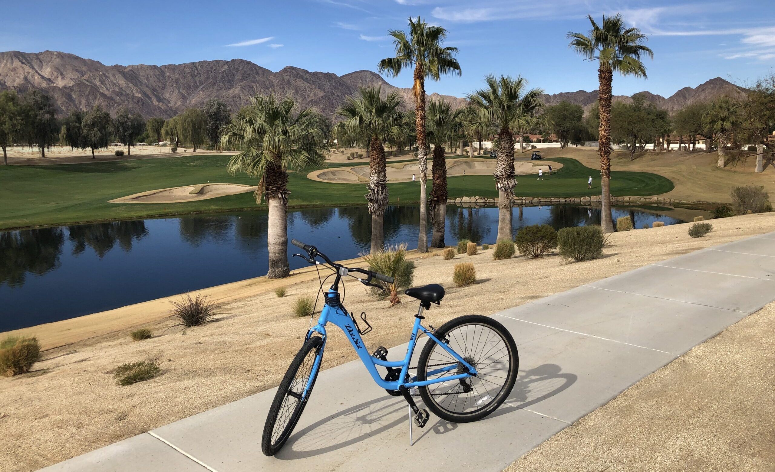 IMG 4187 scaled e1612909784334