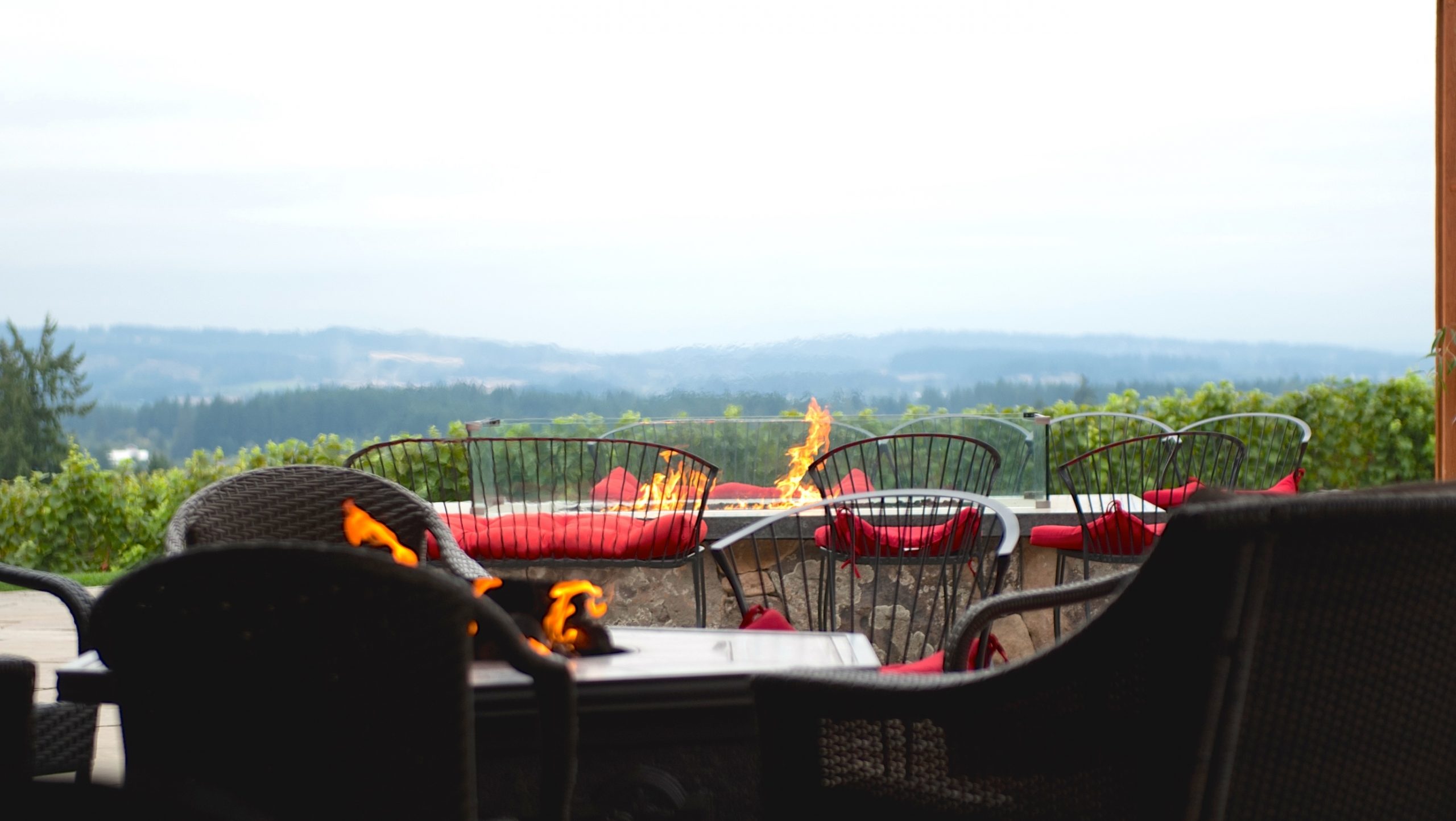 jpg finals 6551 e1424996926969