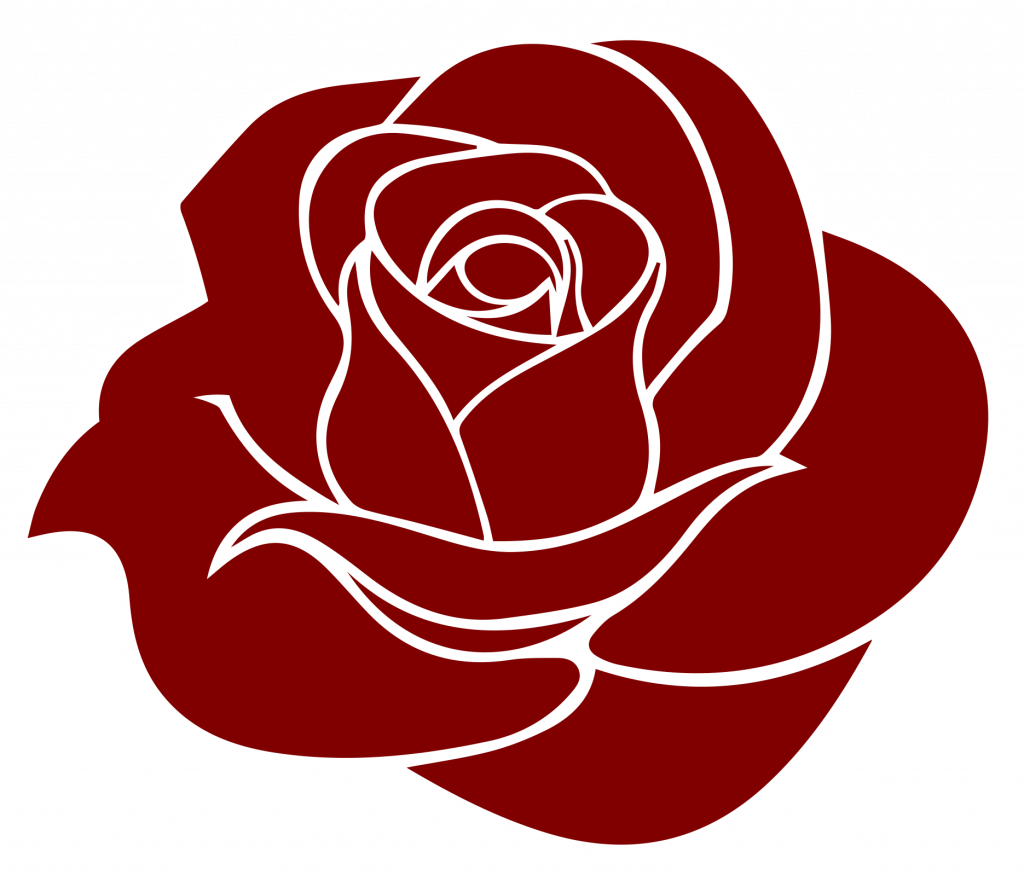 rose w outline