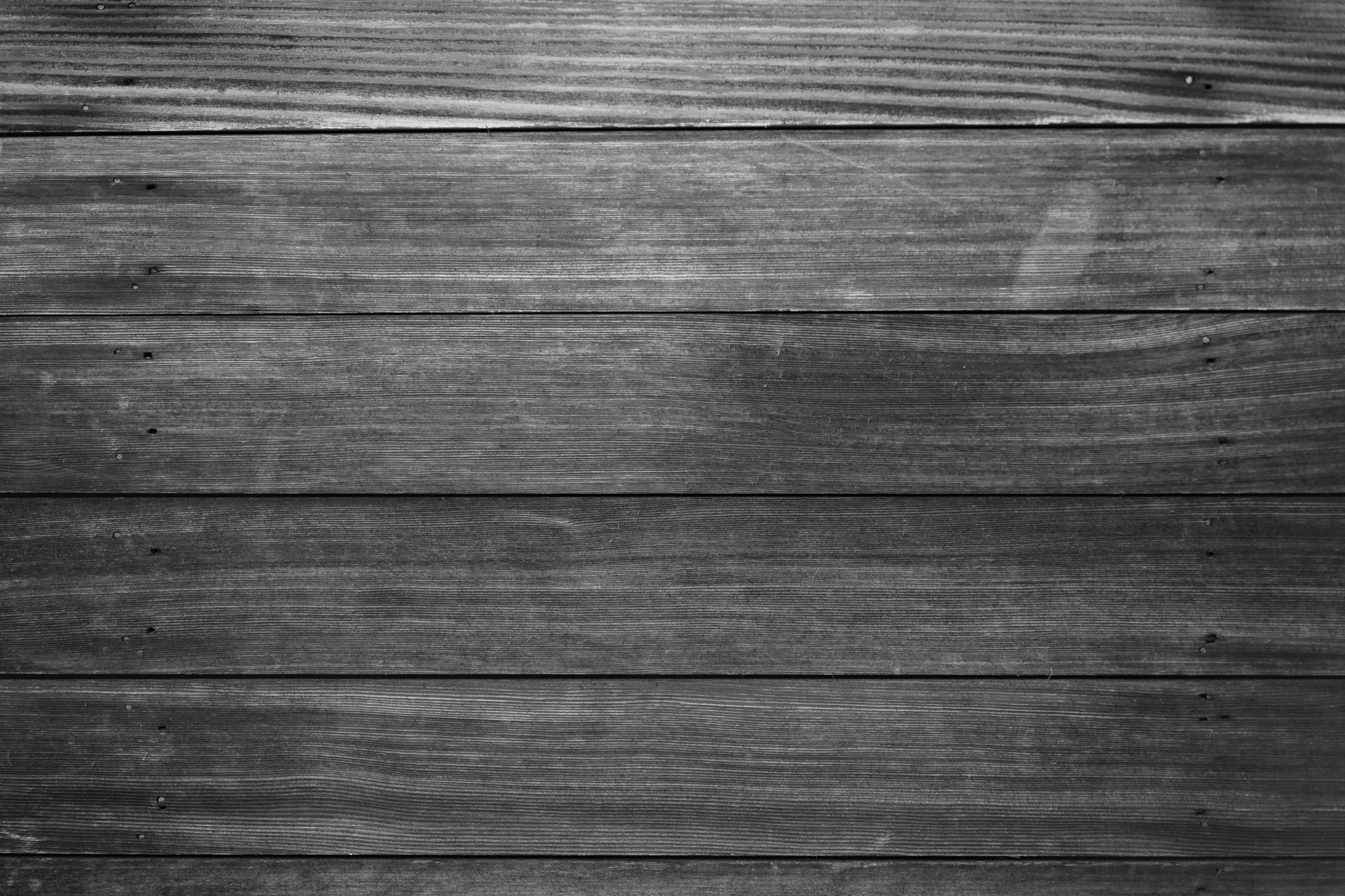 streitberger woodbackground blackwhite