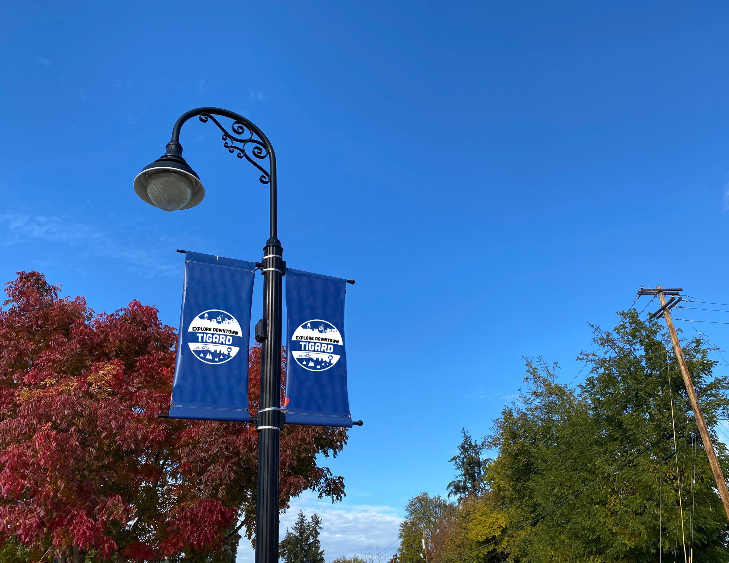 Screenshot 2024 03 28 at 12.14.35 PM